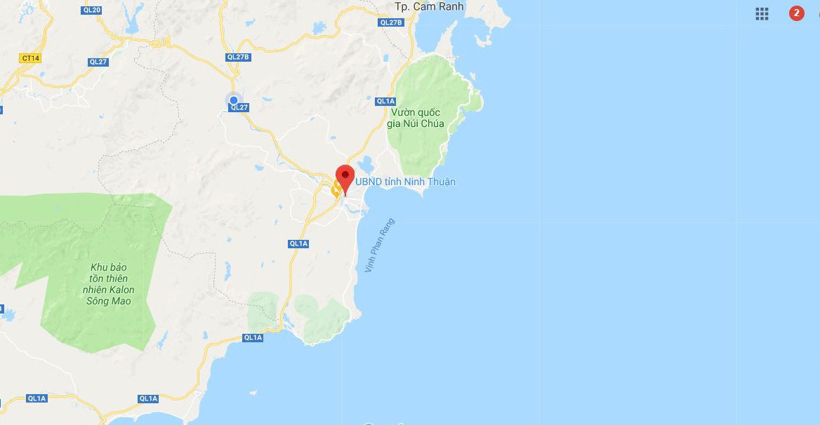 5000 chau nho kieng phuc vu tet anh 3