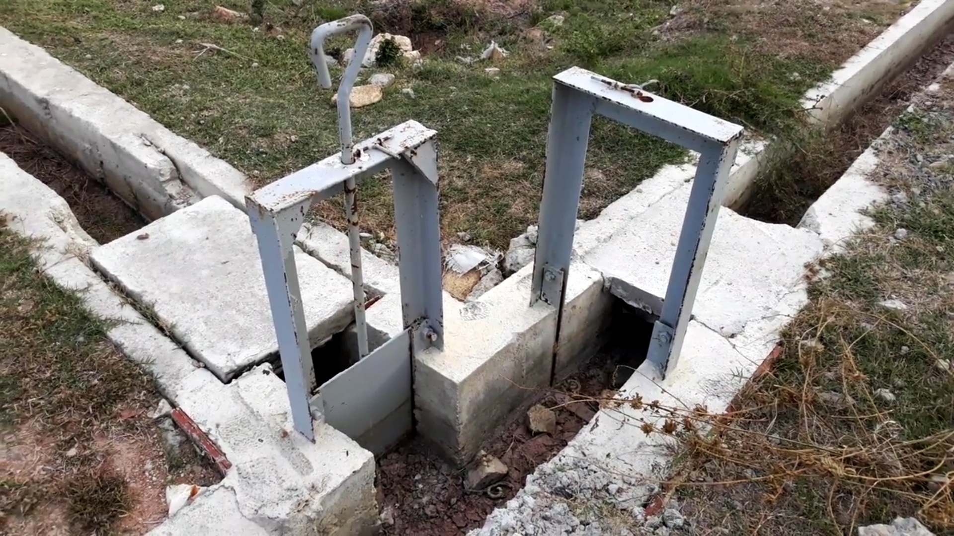 nông dân lượm phân bò mưu sinh ảnh 3 nong dan luom phan bo muu sinh anh 3