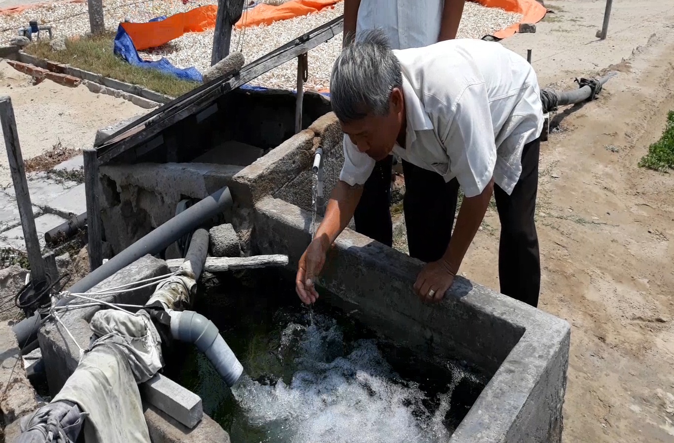 Nong dan to trai tom giong gay nhiem man nguon nuoc hinh anh