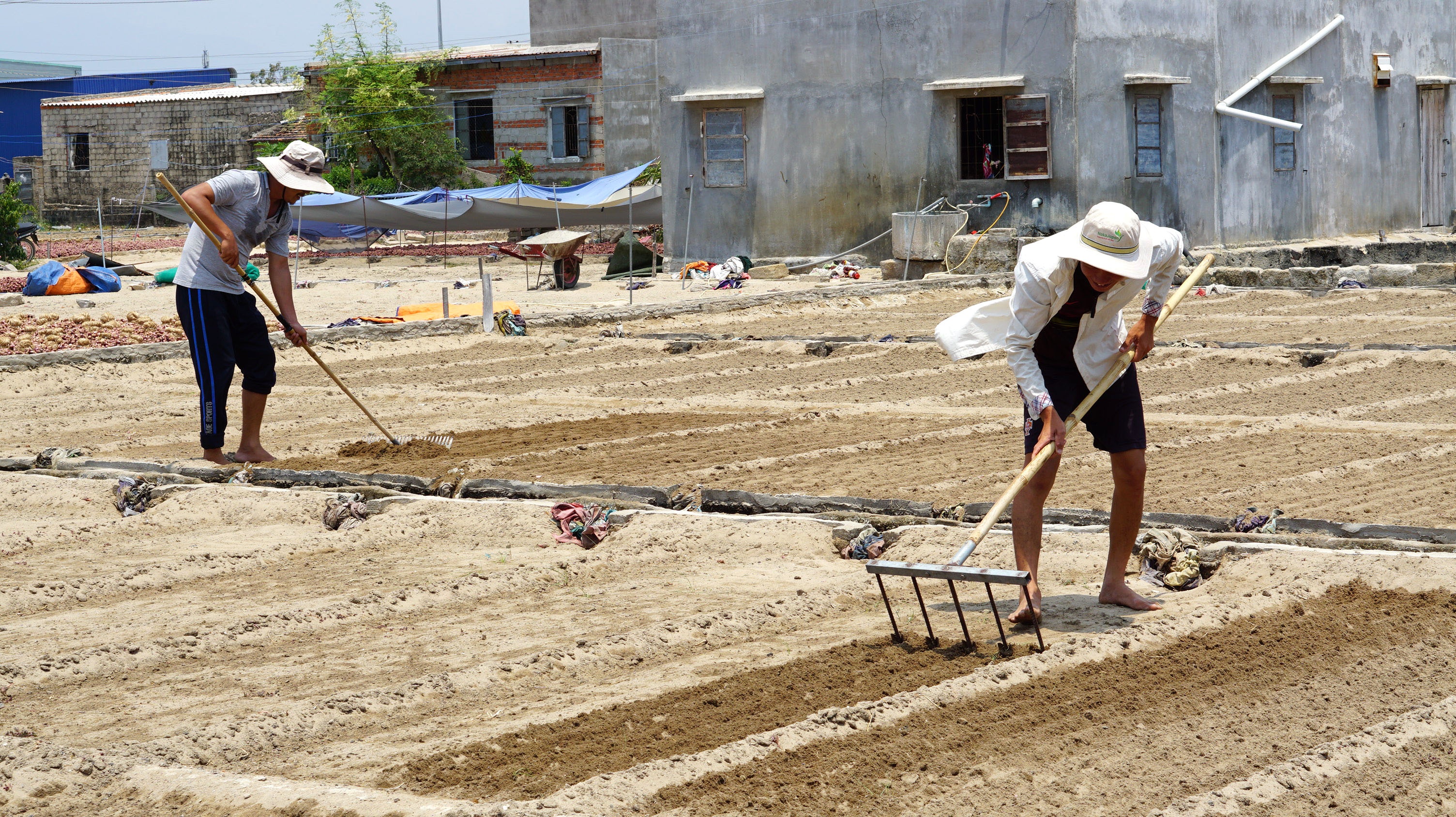 trại tôm giống gây nhiễm mặn nguồn nước ảnh 3 trai tom giong gay nhiem man nguon nuoc anh 3