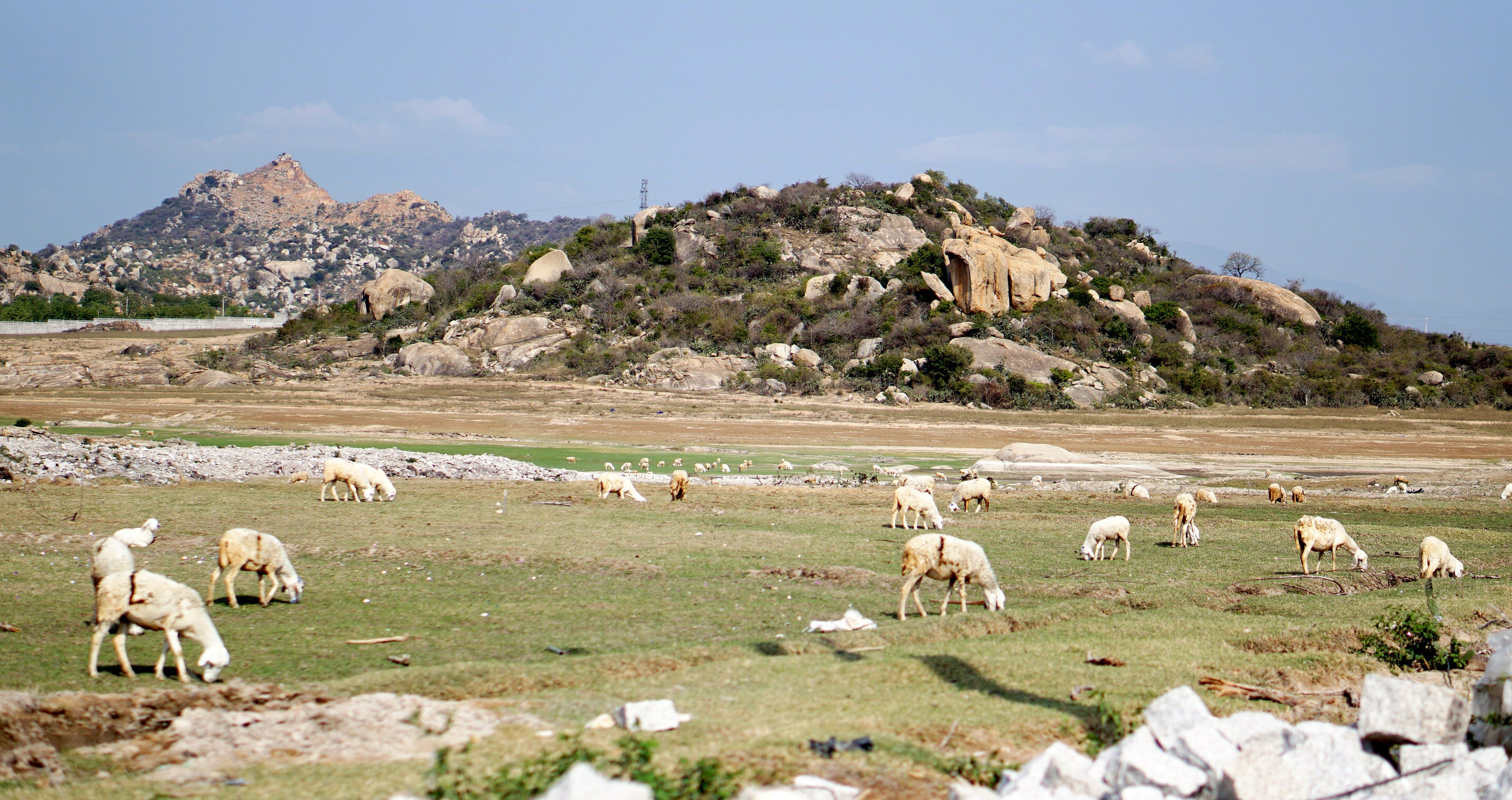 ninh thuận trung tâm năng lượng tái tao ảnh 2 ninh thuan trung tam nang luong tai tao anh 2