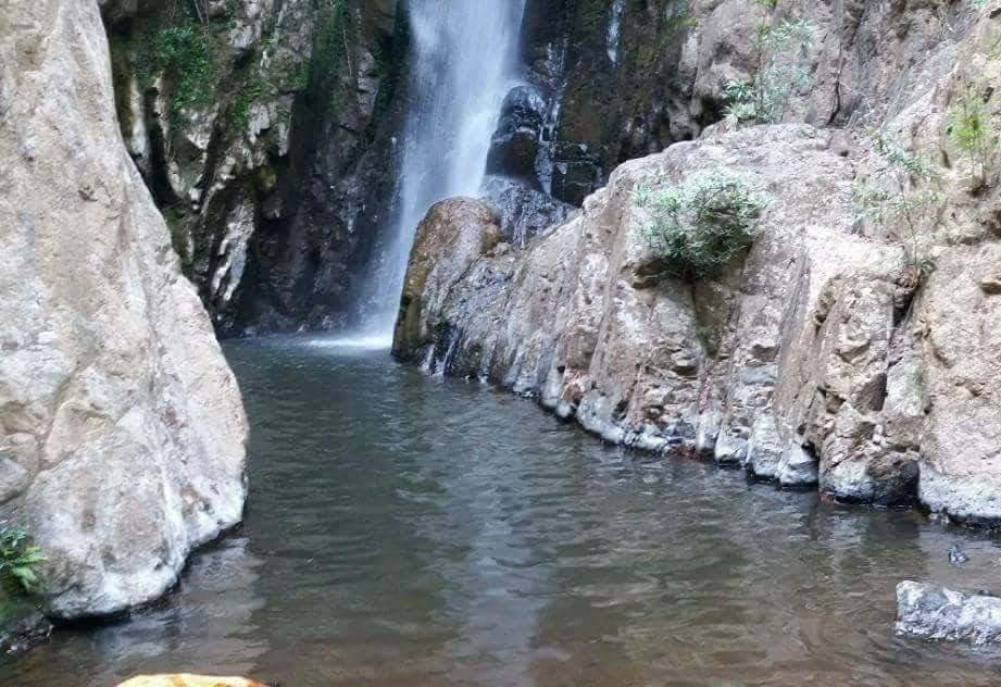 Dua thi the phuot thu tu vong o Phan Dung ve Sai Gon hinh anh