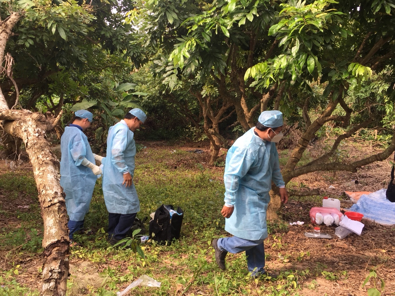 Thi thể đang phân hủy trong vườn nhxn ảnh 1 Thi the dang phan huy trong vuon nhxn anh 1