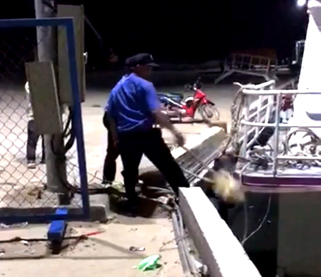 Tau khach bi nhan vien cang mo neo tha troi vi dau qua 30 phut hinh anh