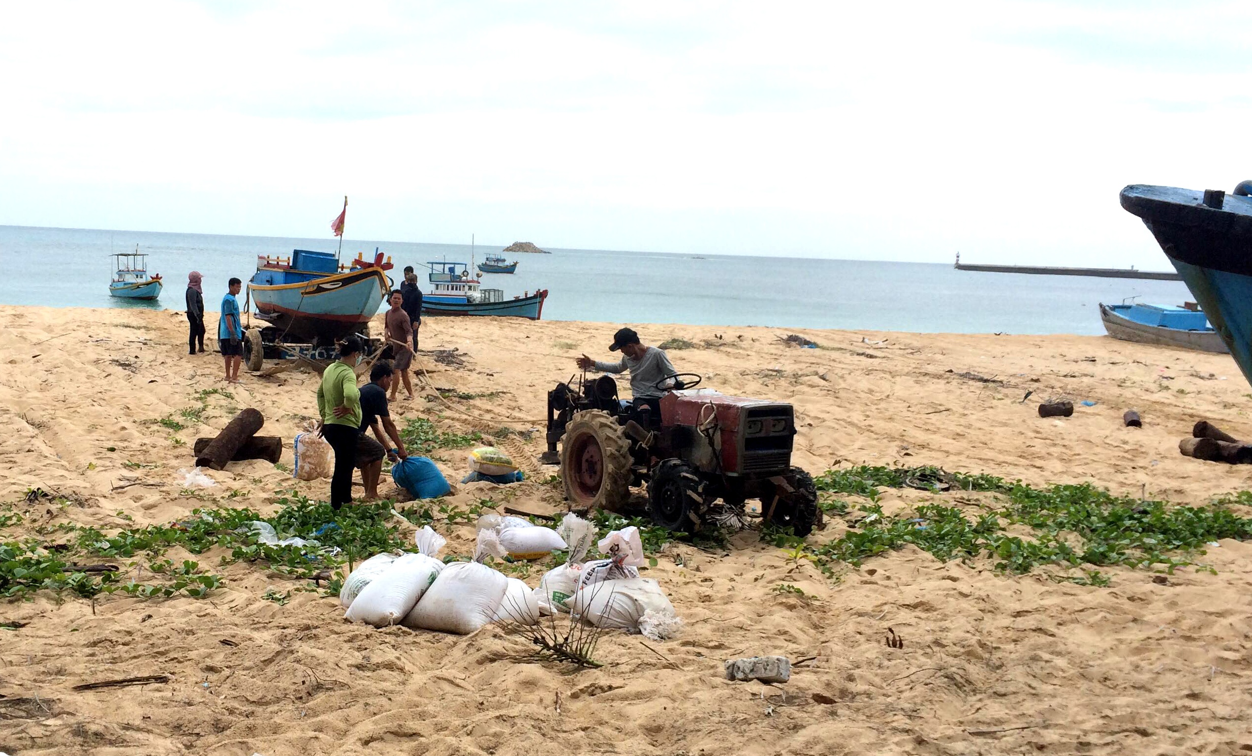 Dao Phu Quy, noi dau tien don bao so 9 hinh anh