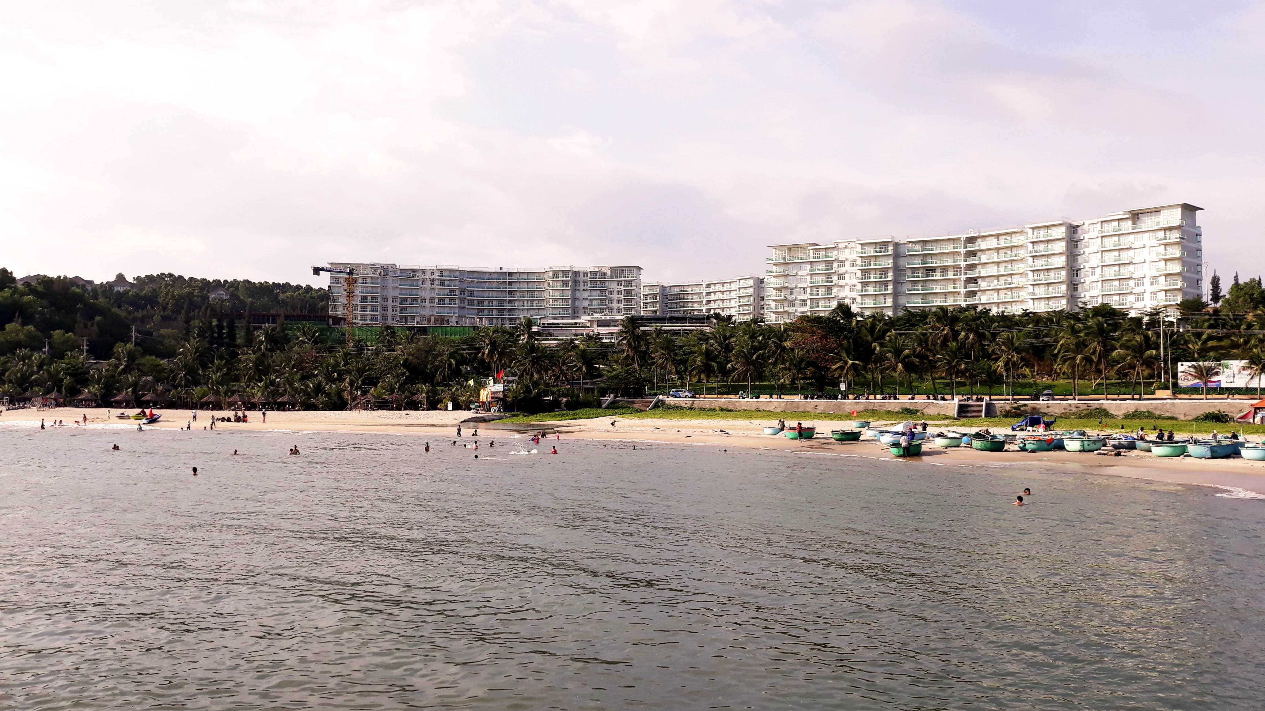 dau von cuc dat vao bien binh thuan anh 2