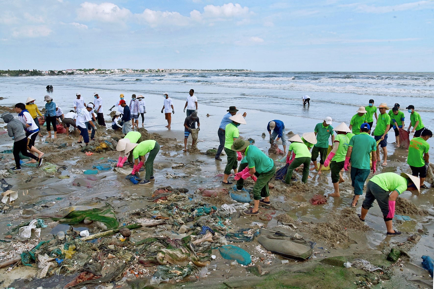 dau von cuc dat vao bien binh thuan anh 1