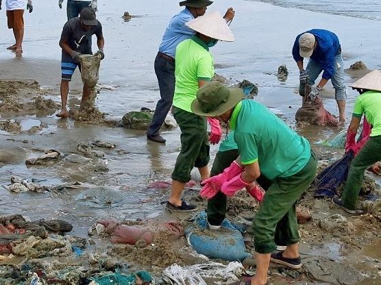 Binh Thuan kien nghi xu ly dau von cuc troi dat vao bo bien hinh anh