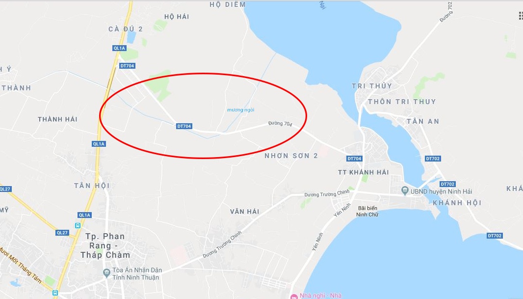 nong dan ninh thuan trang tay vi ngap ung anh 3