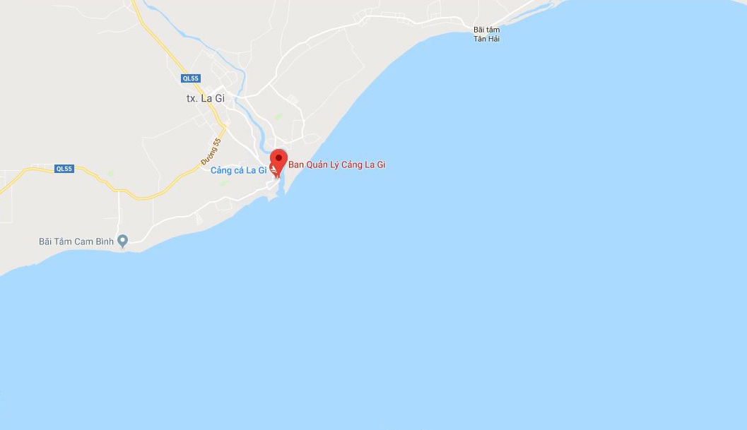 chim tau ca tren bien binh thuan anh 1