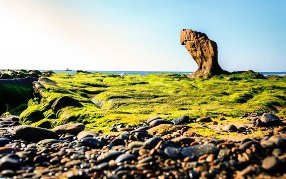 Nui cat trai phep cao 10 m co the xoa so thang canh bai da 7 mau hinh anh