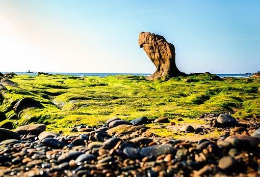 Yeu cau bao cao trach nhiem vu bai da 7 mau bi xam hai hinh anh