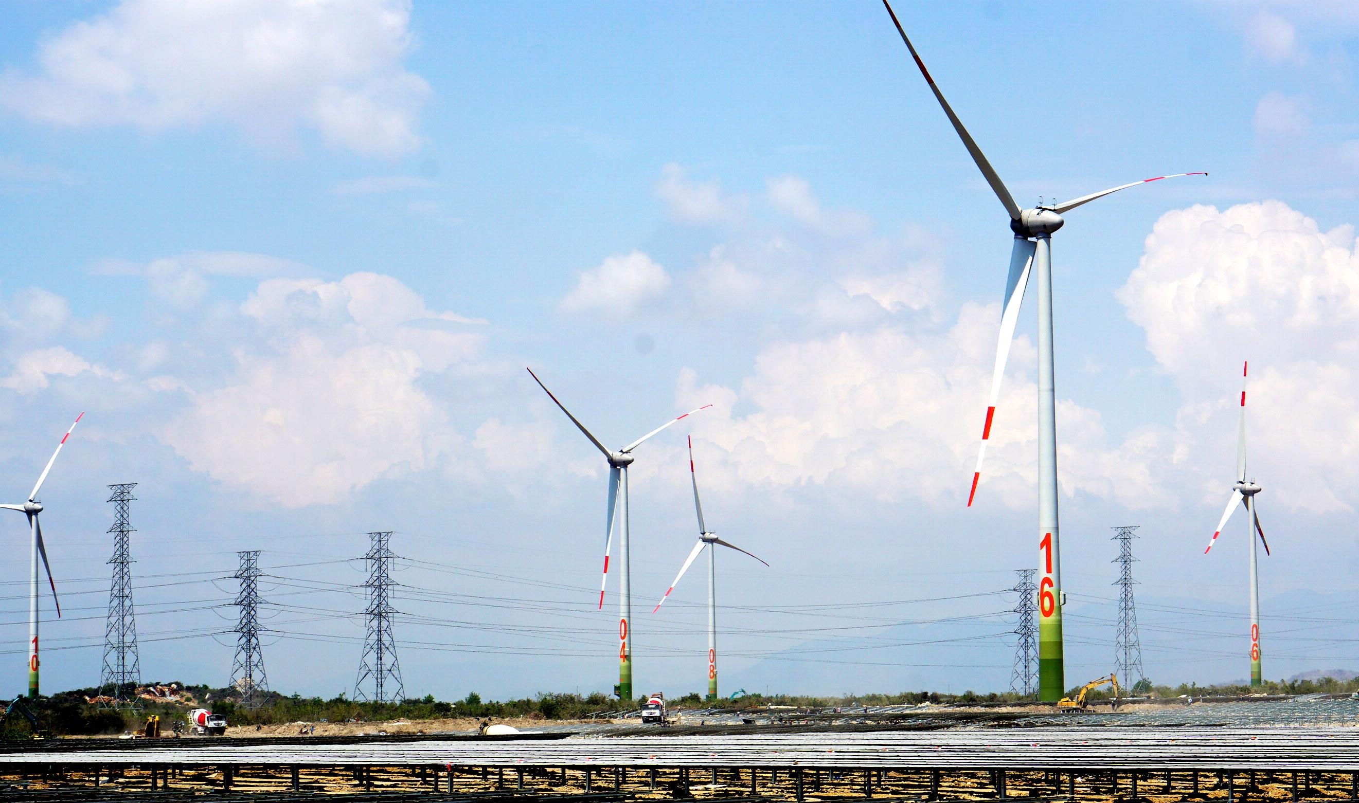 2000 công nhân thi công dự án năng lượng tái tạo ảnh 11 2000 cong nhan thi cong du an nang luong tai tao anh 11