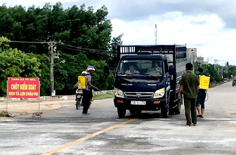 bình thuận công bố dịch tả lợn châu phi ảnh 1 binh thuan cong bo dich ta lon chau phi anh 1