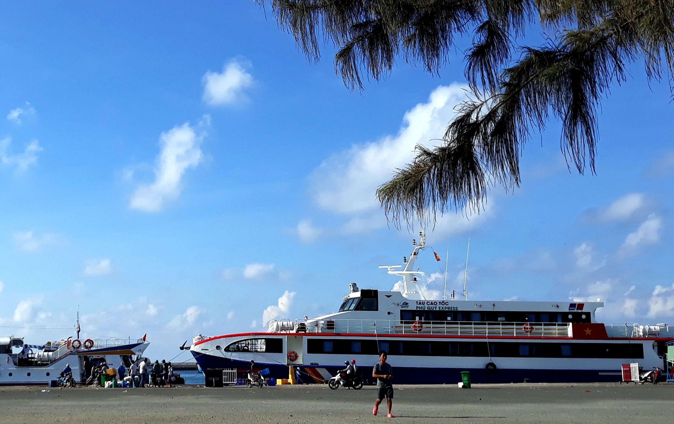 Tau cho dau khong ro nguon goc chim o cang phu quy anh 1