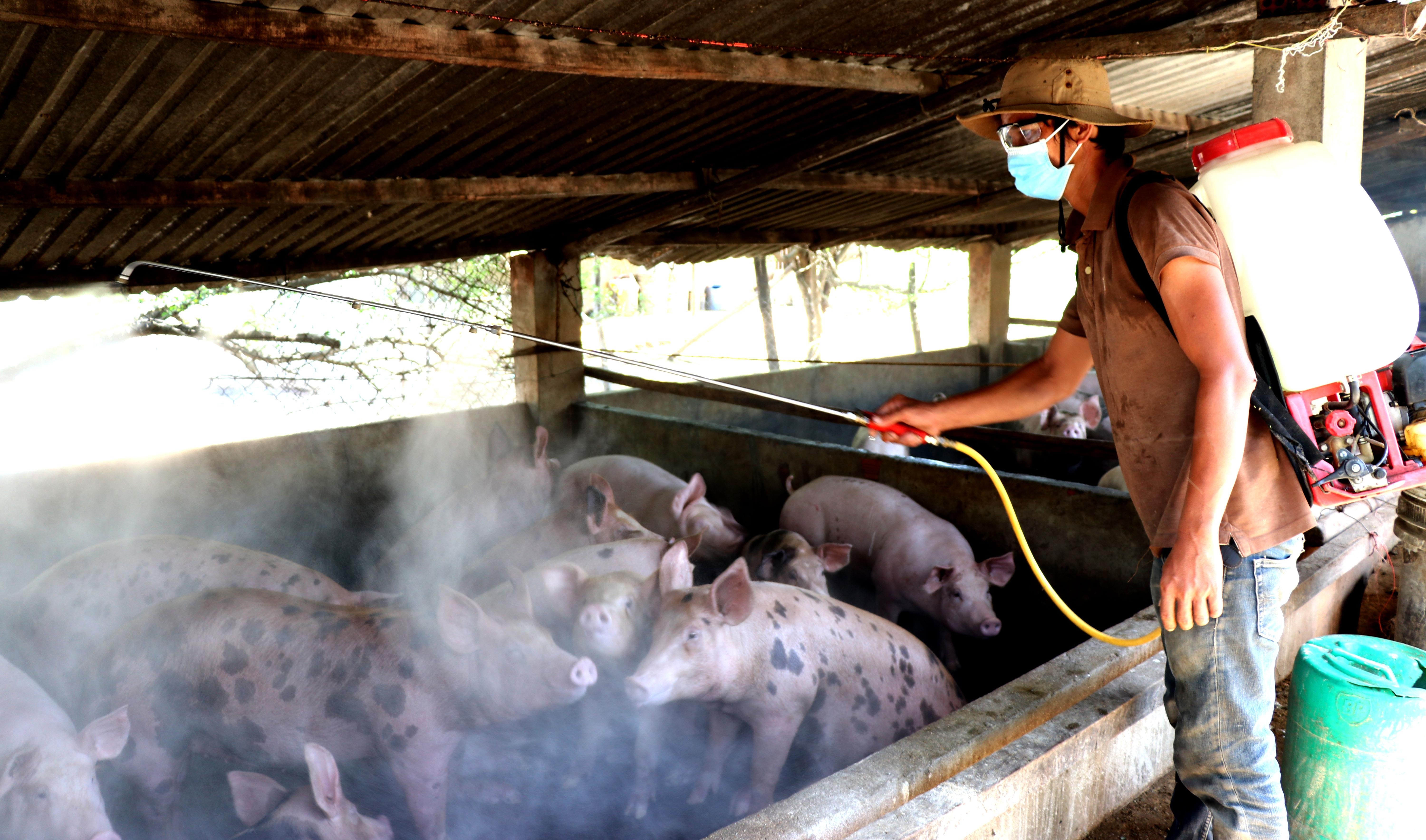 Dia phuong cuoi cung ca nuoc cong bo dich ta lon chau Phi hinh anh
