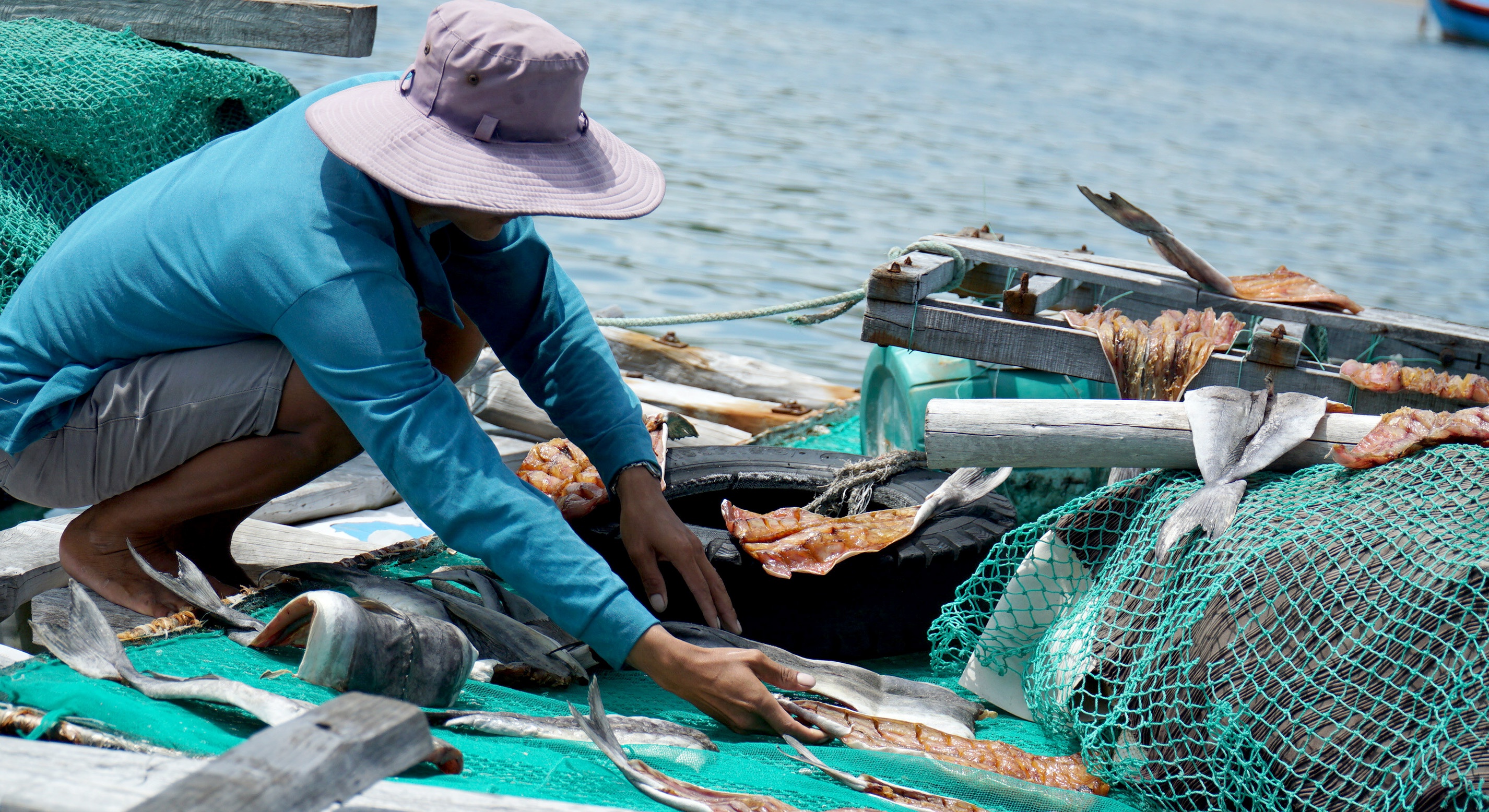 ca bop nuoi long be mac benh la anh 1