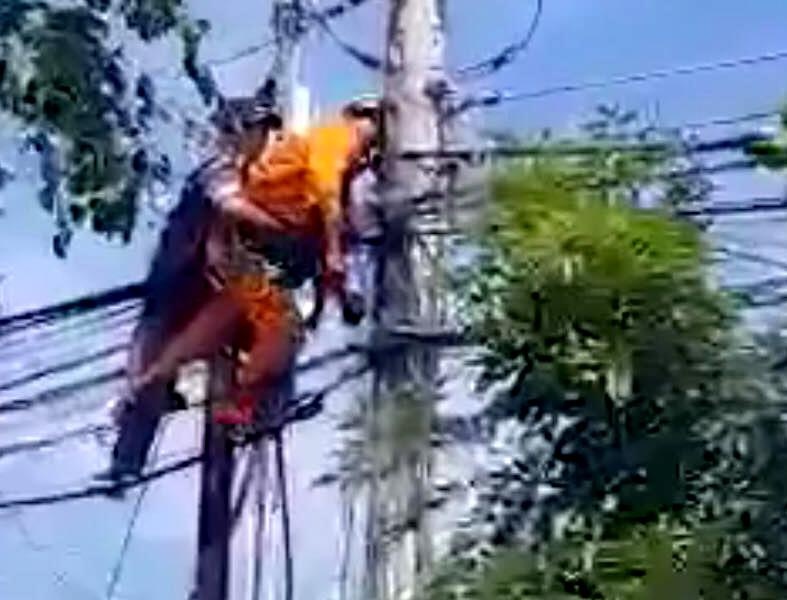 Nguoi dan ong bi giat khi dang sua chua tren cot dien hinh anh