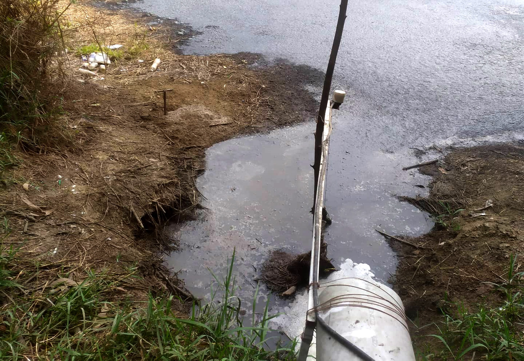 Trai heo xa chat thai ra dau nguon nha may nuoc hinh anh