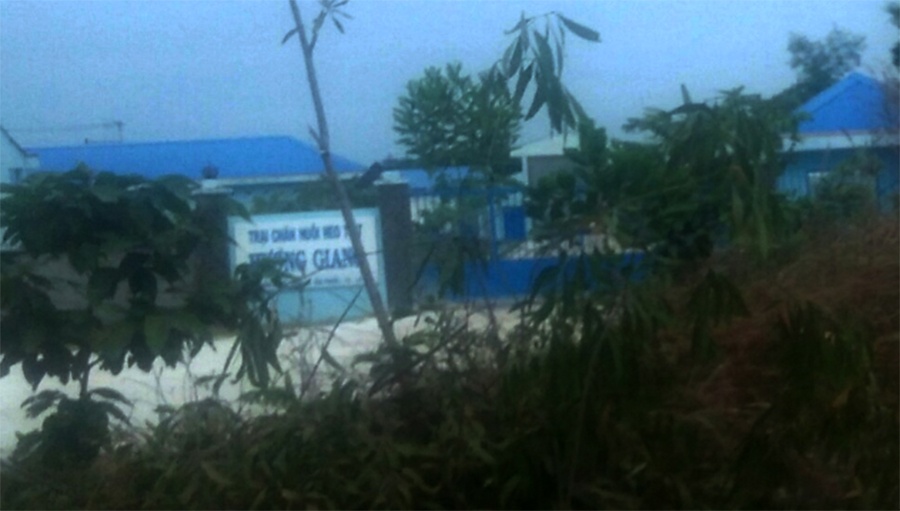 de nghi dong cua trai heo xa thai dau nuon nuoc anh 1