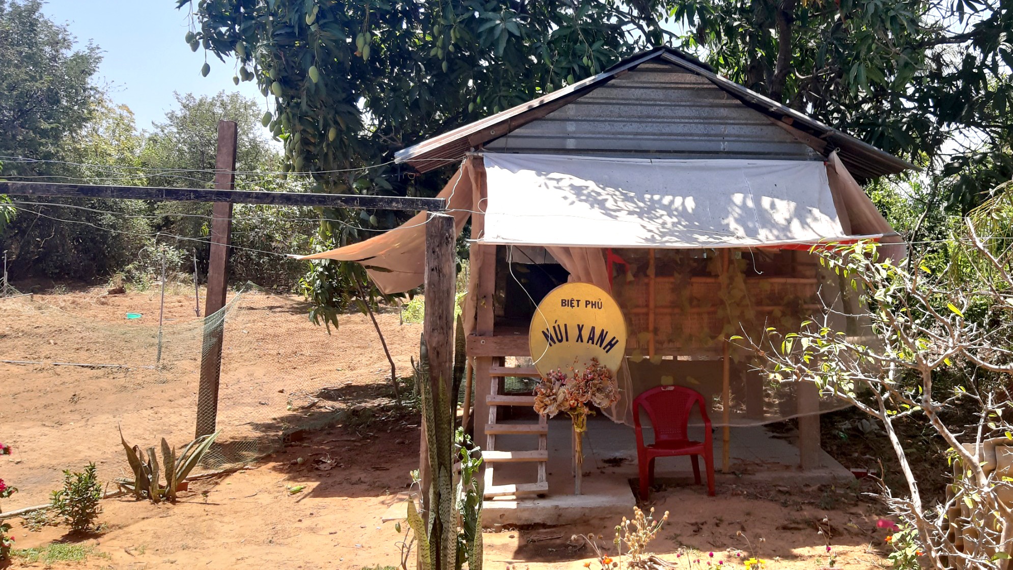 người cựu binh ở thôn văn lâm 3 ảnh 2 nguoi cuu binh o thon van lam 3 anh 2