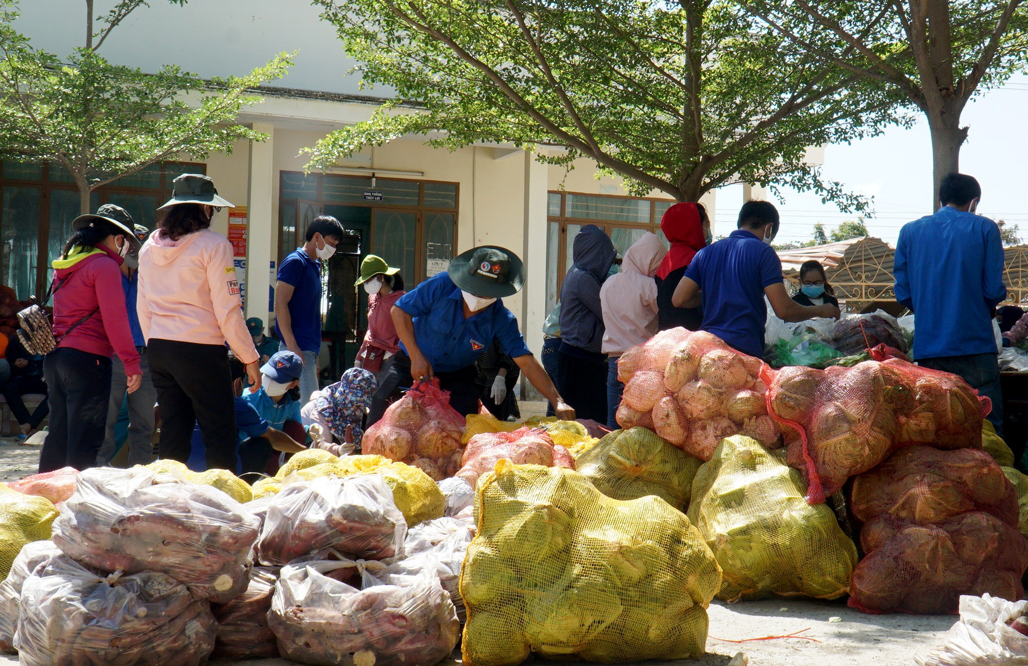 Xet nghiem Covid-19 tat ca du khach nuoc ngoai den Ninh Thuan anh 1