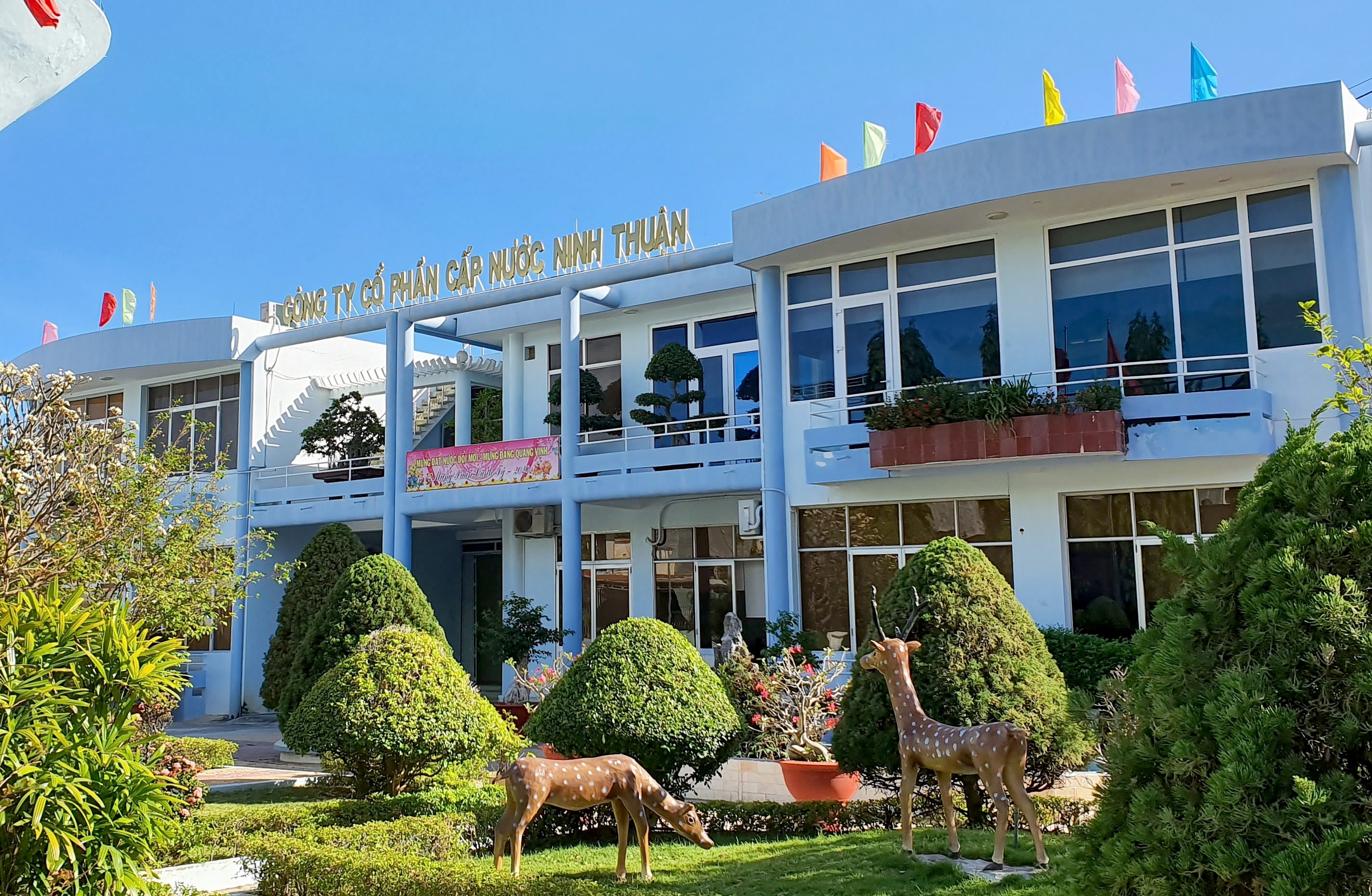Khoi to vu an dua va nhan hoi lo tai Cong ty nuoc Ninh Thuan hinh anh