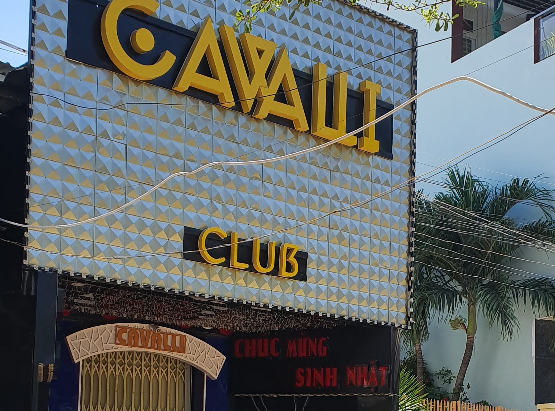 7 thanh nien bi tam giu sau vu an o quan bar Cavalli hinh anh