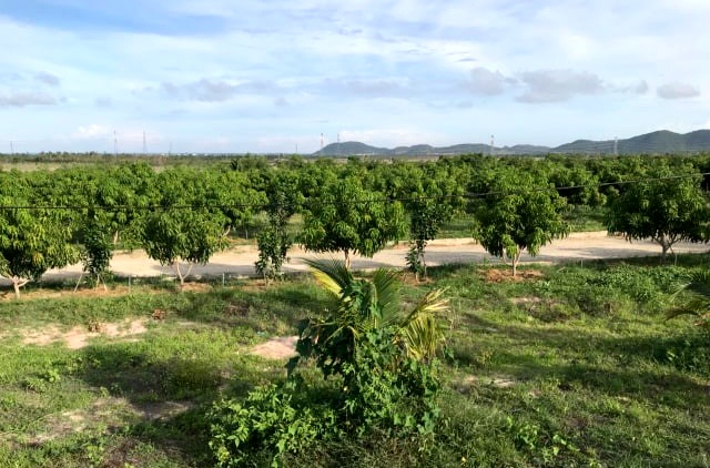 Tam dung chuyen ho so vu cho thue dat cong trai luat sang cong an hinh anh