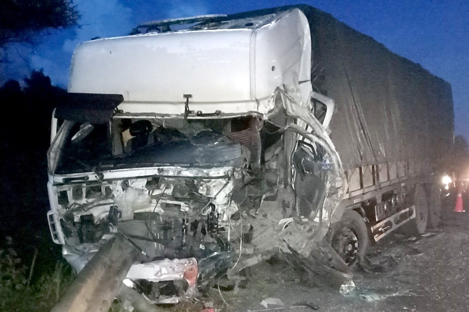 'Toi da danh het lai nhung cung khong tranh duoc vu tai nan' hinh anh