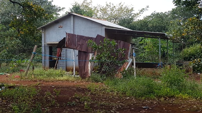 bat ke phe ma tuy dam chet ban anh 1