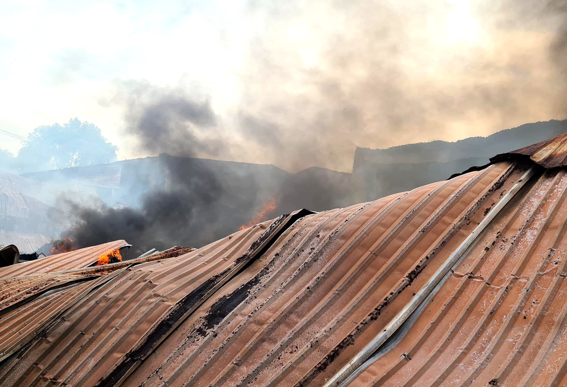 Chay hai xuong san xuat do go o Binh Duong hinh anh