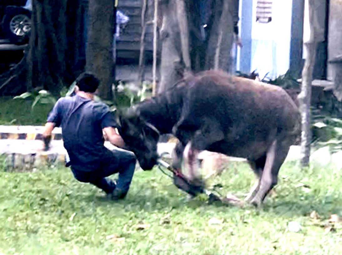 trau dai nao cong ty huc nhieu cong nhan anh 1