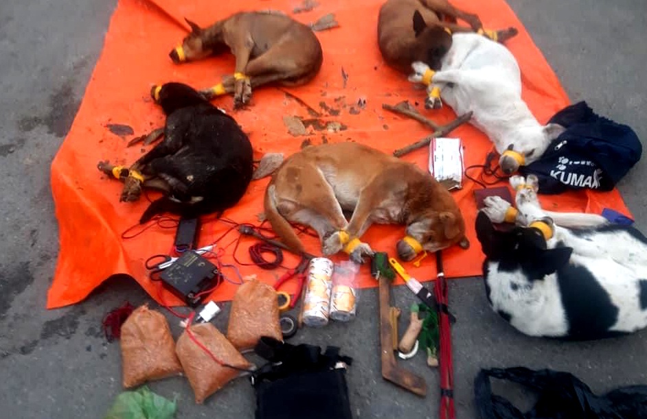 Trom cho tong oto vao xe cong an hinh anh