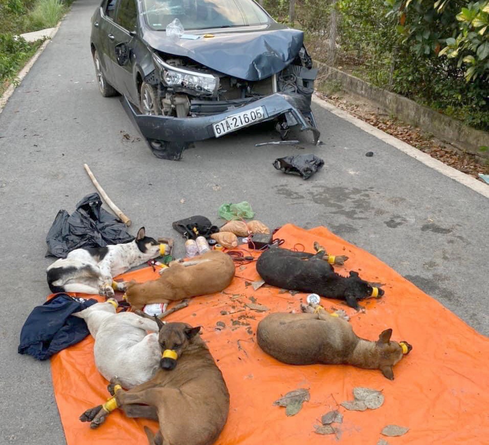 Trom cho lao oto vao xe cong an anh 1