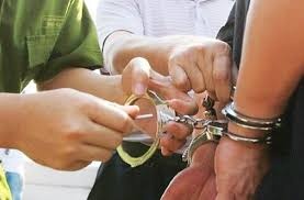 Giam doc Cong ty dia oc Diamond Land bi bat hinh anh