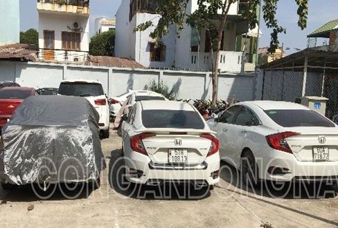 Pho giam doc thue hang chuc oto roi di cam anh 1