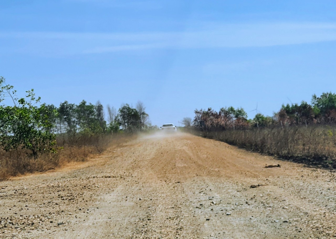 'Co" nuom nuop do ve san bay Phan Thiet vao cuoi tuan anh 2
