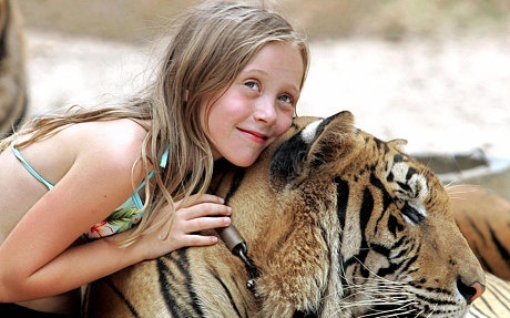 Một cô bé chụp ảnh cùng hổ ở Tiger Tample. Ảnh: Gettyimages
