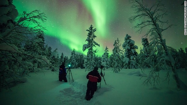 Gareth Hutton, hướng dẫn viên, cho biết: “Chuyến đi cho du khách cảm giác về một mùa đông thực sự: tuyết xốp, những ngọn cây tắng xóa và bầu trời lộng lẫy.” Ảnh: Aurora Zone