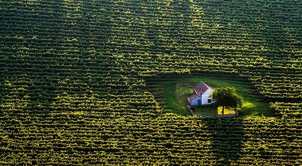 9. Ngôi nhà cấp 4 xinh xắn ở Hungary