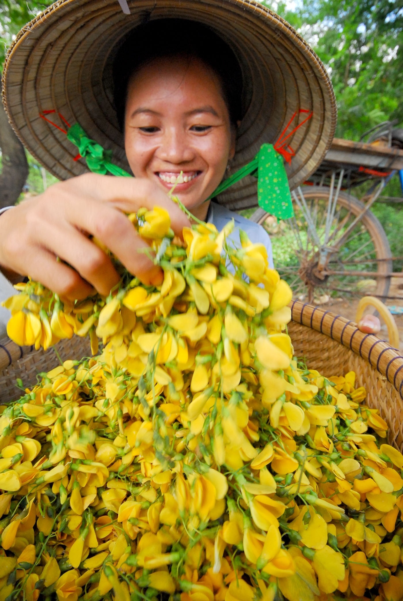 Bông điển điển – đặc sản mùa nước nổi. Ảnh: Thegioivanhoa.com.vn