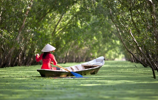 Rừng tràm Trà Sư – An Giang. Ảnh: Thegioivanhoa.com.vn