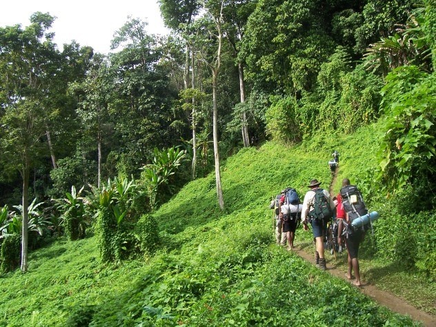 10. Đường mòn Kokoda và Black Cat: Đường Kokoda kéo dài gần 100km qua những vùng đất nóng ẩm, hiểm trở và đầy đỉa từ bờ Bắc tới bờ Nam Papua New Guinea. Các khu rừng nơi đây có nhiều loài động vật hiếm, nước sạch và ngôi làng của các dân tộc thiểu số. Đây cũng là nơi diễn ra nhiều trận chiến của Thế Chiến II. Mỗi năm, có tới hàng ngàn du khách tới đây dù biết trước những nguy hiểm có thể xảy ra , từ trẹo chân tới mất mạng. Để khám phá hết con đường này, du khách cần tới 10 ngày đi bộ, leo trèo và bơi trong khi phải cõng theo đồ dùng của mình. Mất nước, gãy xương và ngã bệnh là những mối nguy thường trực nhất. Ngoài ra, họ còn cò thế bị dân làng tấn công và cướp đồ.
