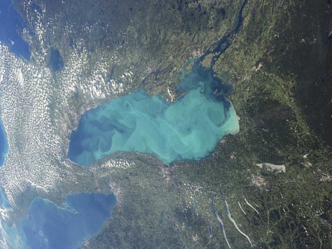 Một bức ảnh do NASA chụp cho thấy hồ Ontario chuyển thành màu xanh rực rỡ do sự sinh sôi nảy nở của sinh vật phù du.