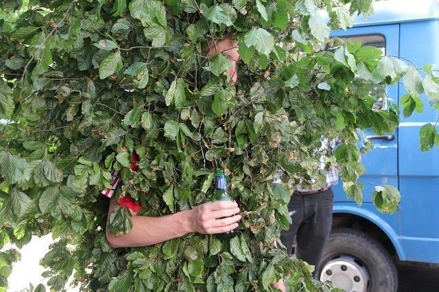 Những người đàn ông ngụy trang bằng cành và lá cây, tượng trưng cho thần đồng áng và thần rừng.