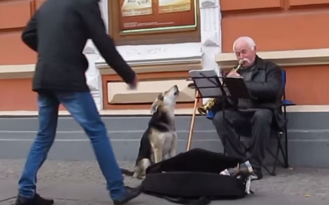 Du khach thich thu nghe cho 'song ca' voi nguoi hat rong hinh anh