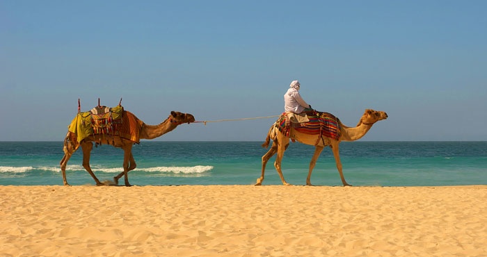 3. Morocco: Nhiều người biết tới những khu nghỉ dưỡng xa xỉ ở Marrakech, nhưng tại Morocco còn nhiều điều thú vị như ngắm thung lũng hoa hồng từ trên đỉnh hẻm núi Todra, leo dãy Atlas, dừng chân tại các thác nước và những ngôi làng của người Berber, chiêm ngưỡng vẻ đẹp lộng lẫy của những cồn cát tại Erg Chebbi, cửa ngõ ra Sahara. Bạn có thể chơi trò trượt cát, trượt bằng cáp giữa những đỉnh núi, ngắm hoàng hôn trên lưng lạc đà và tìm hiểu những bí mật của sa mạc trong lúc thưởng thức trà Maghrebi.