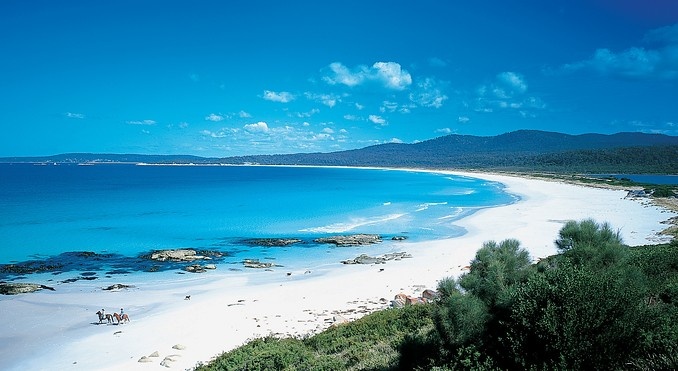 5. Tasmania (Úc): Khu vực này có cảnh sắc lộng lẫy, ẩm thực độc đáo và những chuyến thám hiểm nơi hoang dã không hề kém cạnh quần đảo Galapagos, Nam Phi và New Zealand. Các du khách sẽ được thưởng thức những con hàu tươi ngon nhất, gặp gỡ những con thú mỏ vịt, đi dọc bờ biển hùng vĩ tới thăm những xưởng chưng cất rượu.