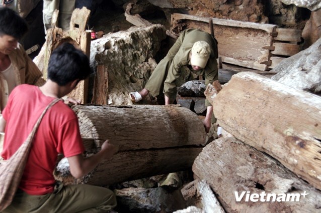 Khai quật mỗ cổ trong hang ở Suối Bàng. (Ảnh: Điêu Chính Tới/Vietnam+)